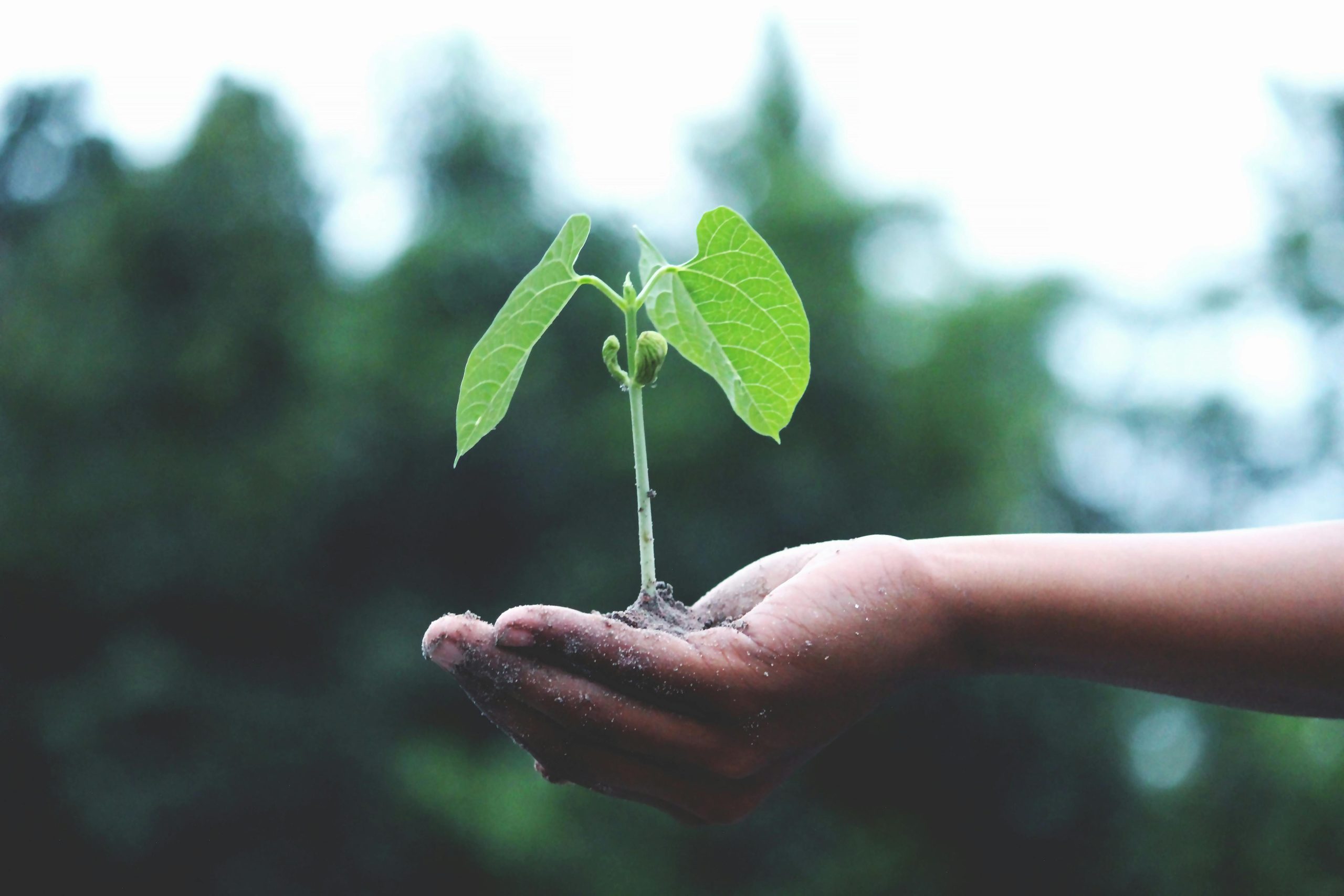 Sådan booster du din virksomheds succes med Mastering Business Growth kursus - Blogindlæg på Iværksætterbloggen