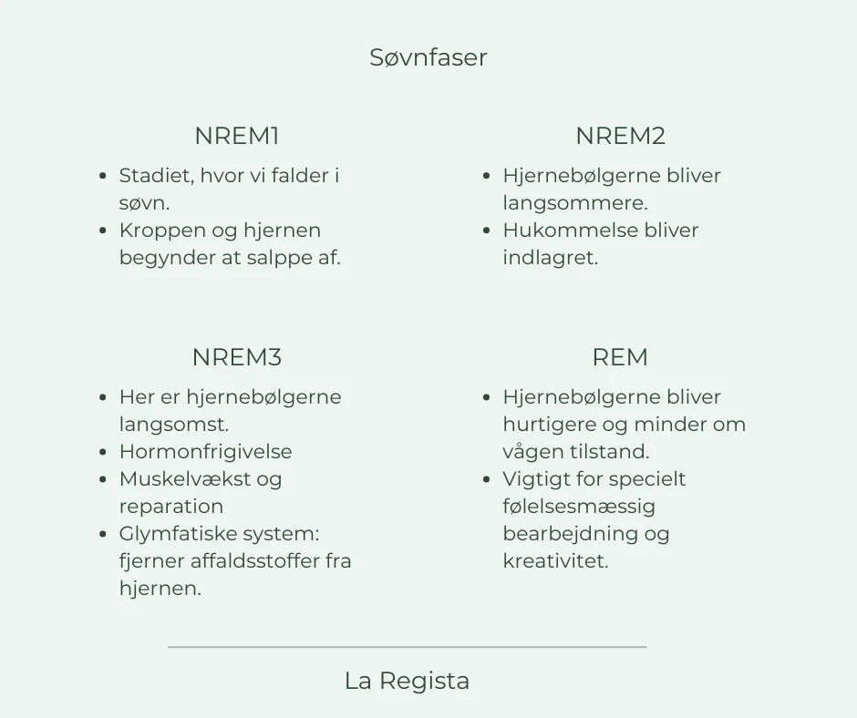 søvnfaser (1)