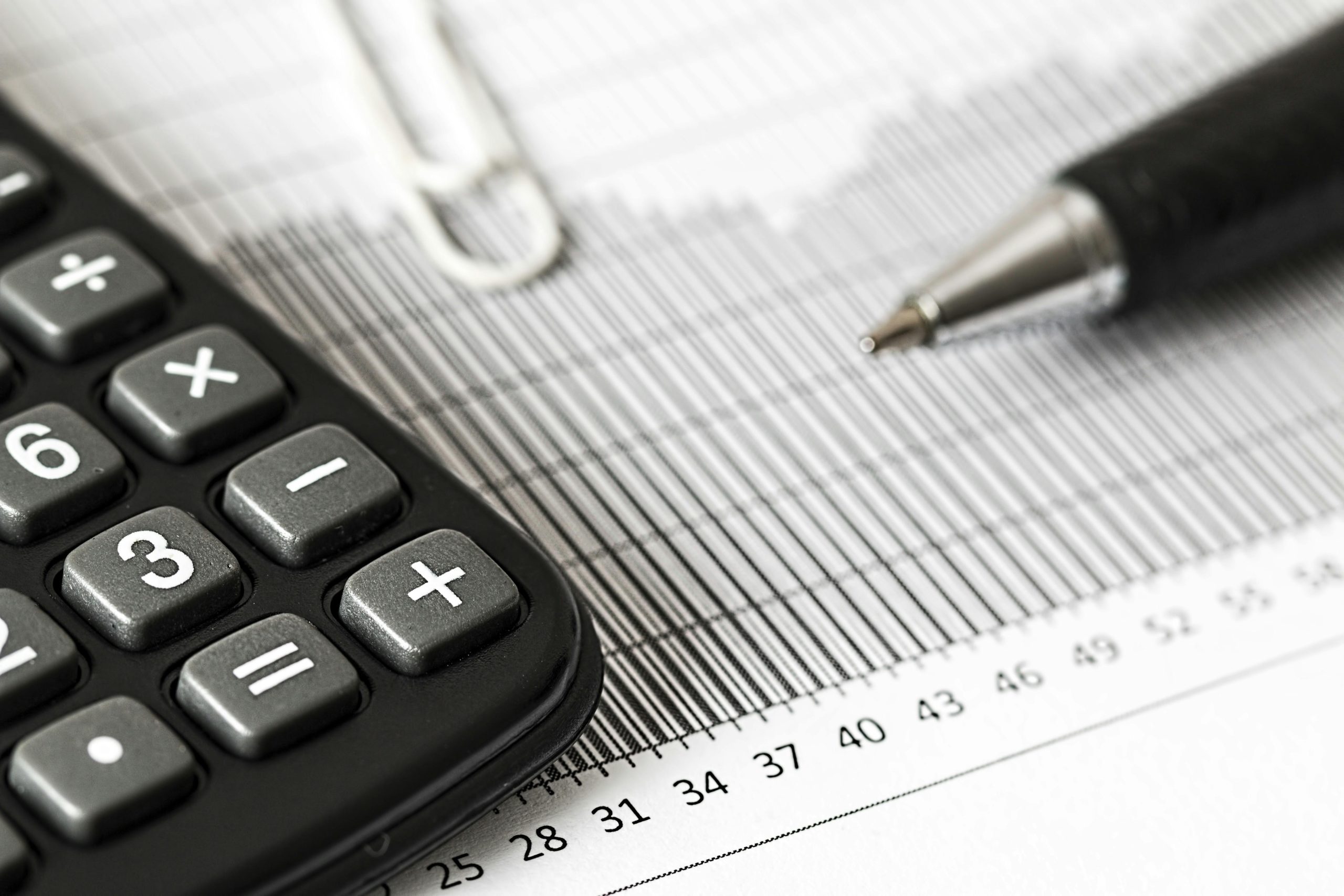 budget skema