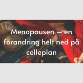 Menopausen header
