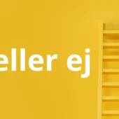 Mentor eller ej - fra Redaktøren Pernille Glad på Iværksætterbloggen