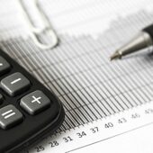 budget skema
